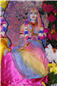 holi_nar_narayan_dev_jayanti_006.jpg